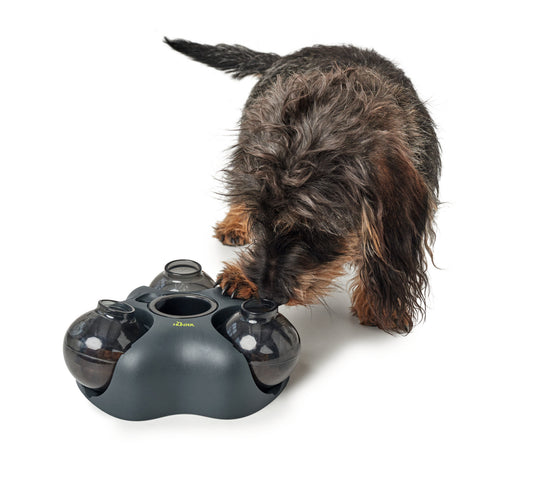 Hunter Pet Puzzle Toy Kem