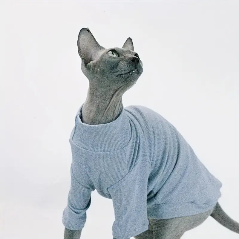 Cat Sweater