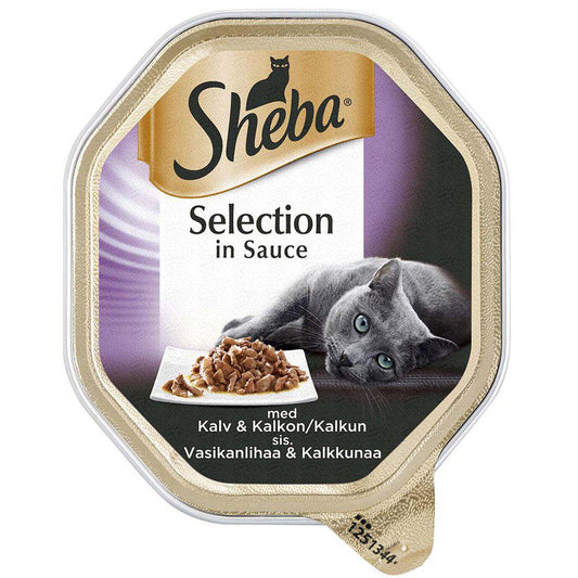 Sheba Selection