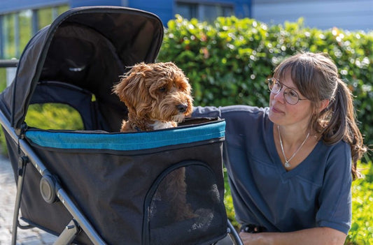 Collapsible Pet Stroller Buggy