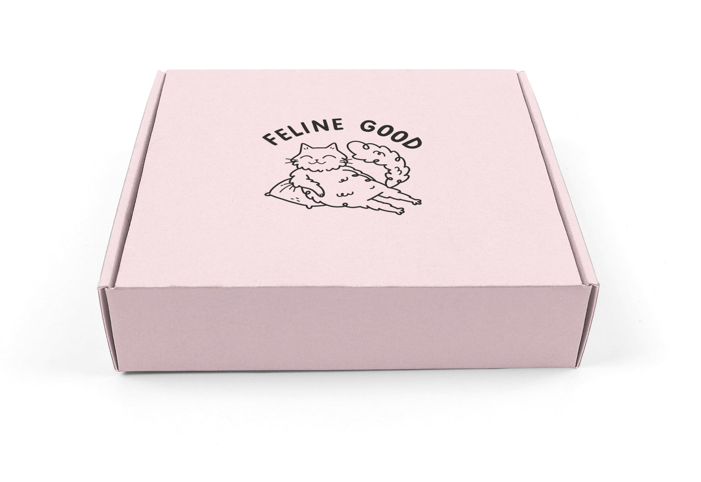 Cat Toys & Treats Surprise Box