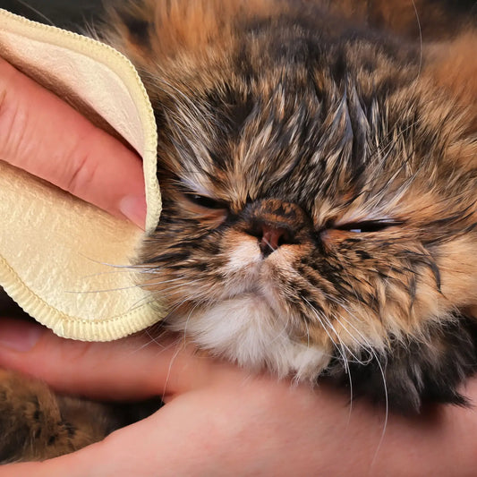 Washable Reusable Applicator Pads