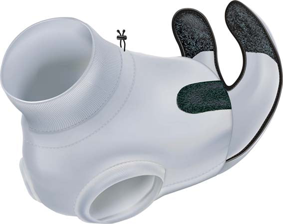 Skyddande body för katt