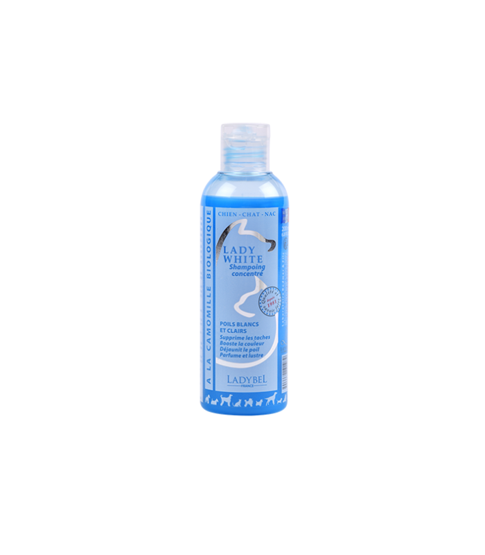 Lady White Shampoo