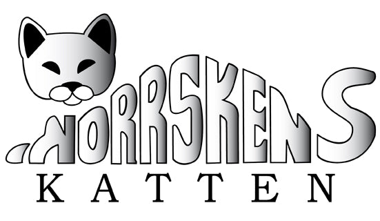 Norrskenskatten - NOS