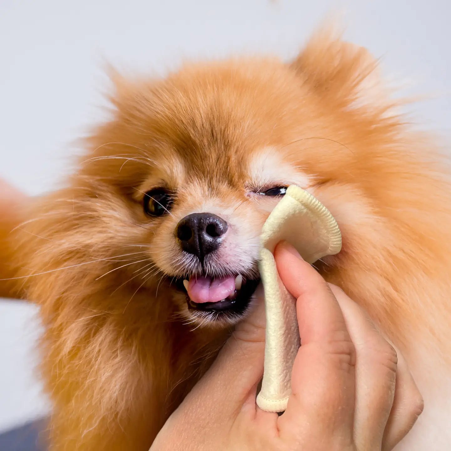 Washable Reusable Applicator Pads