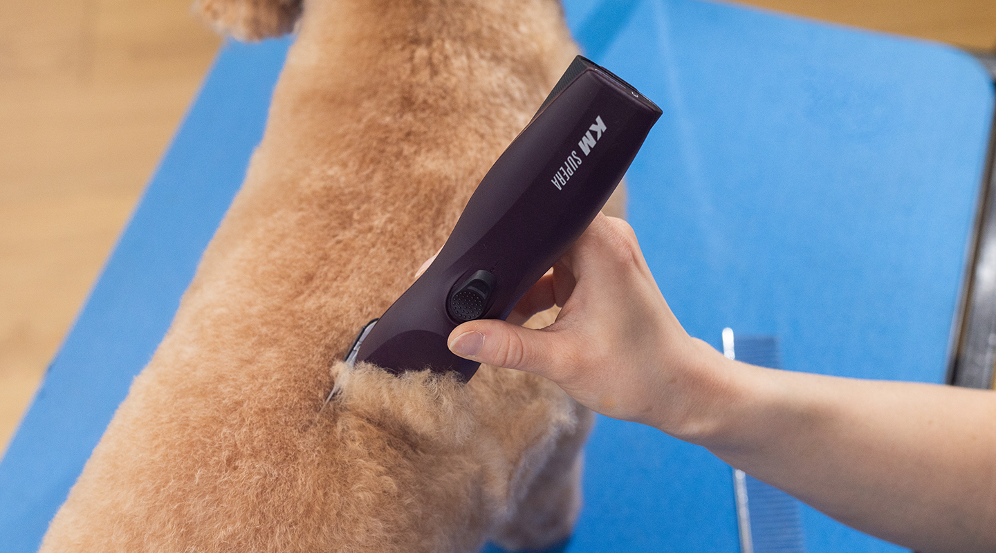Animal Clipper WAHL KM Supera Cordless