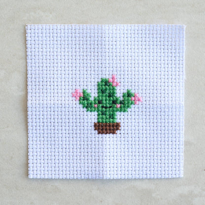 Kawaii Cactus Cross Stitch Kit In A Matchbox