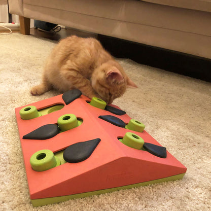 Petstages Cat Puzzle Melon Madness Puzzle & Play by Nina Ottosson