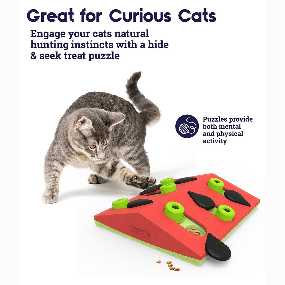 Petstages Cat Puzzle & Play Melon Madness