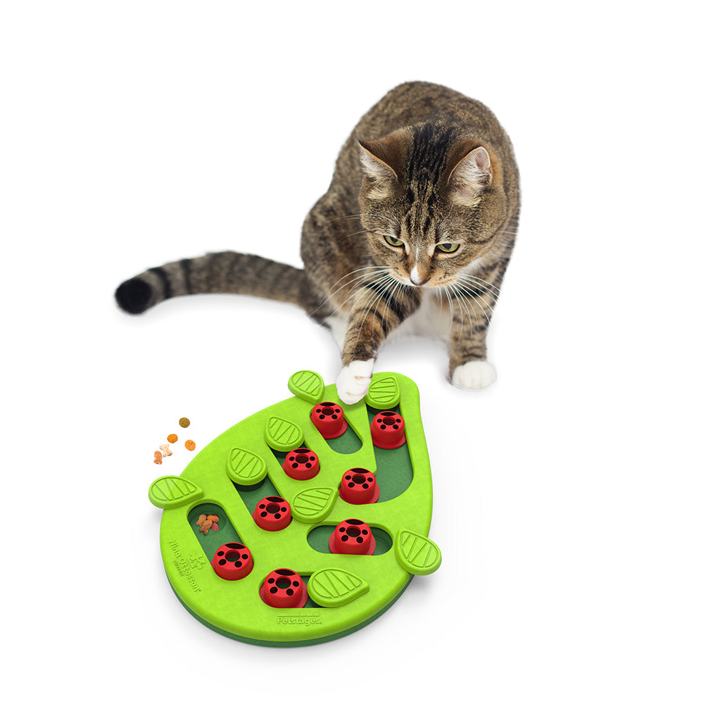 Petstages Cat Puzzle & Play Buggin' Out