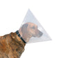 Recovery Collar