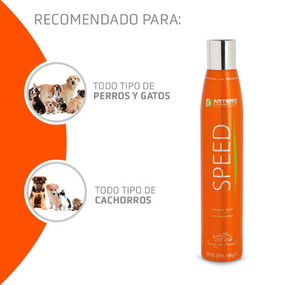 Artero Dry Shampoo Speed 300Ml.