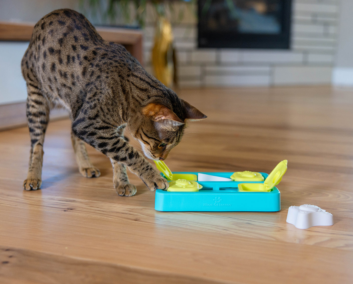 Petstages Cat Puzzle Toy Kitty Cube by Nina Ottosson