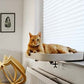 Kyo Window Shelf