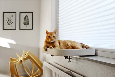 Kyo Window Shelf