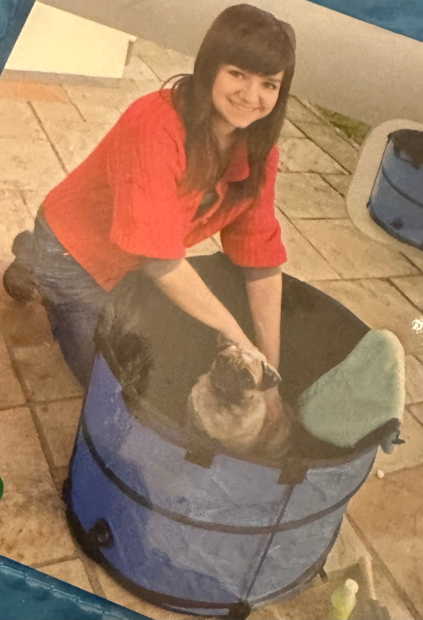 Quick Wash Collapsible Pet Tub