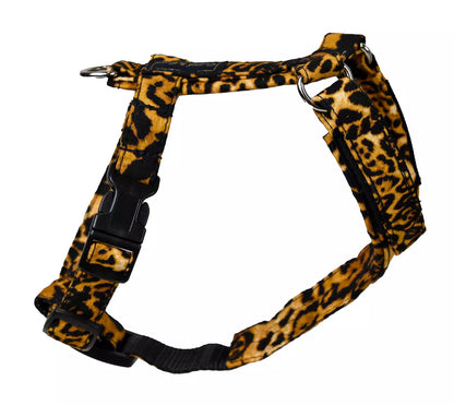 Cat Harness