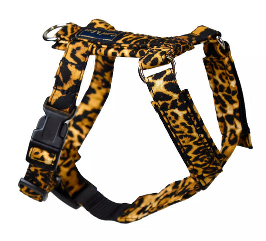 Cat Harness