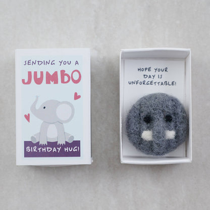 Sending You A Jumbo Birthday Hug In A Matchbox