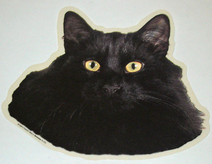 Cat Stickers 2-pack