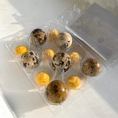 Freeze Dried Quail Egg Yolk