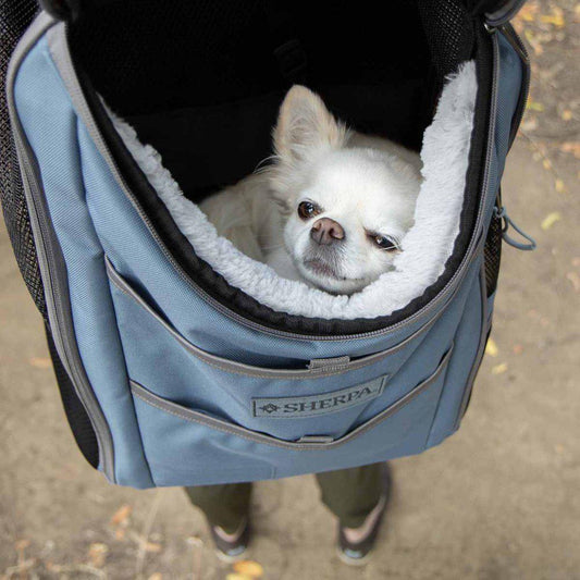 Sherpa Elevation Pet Backpack