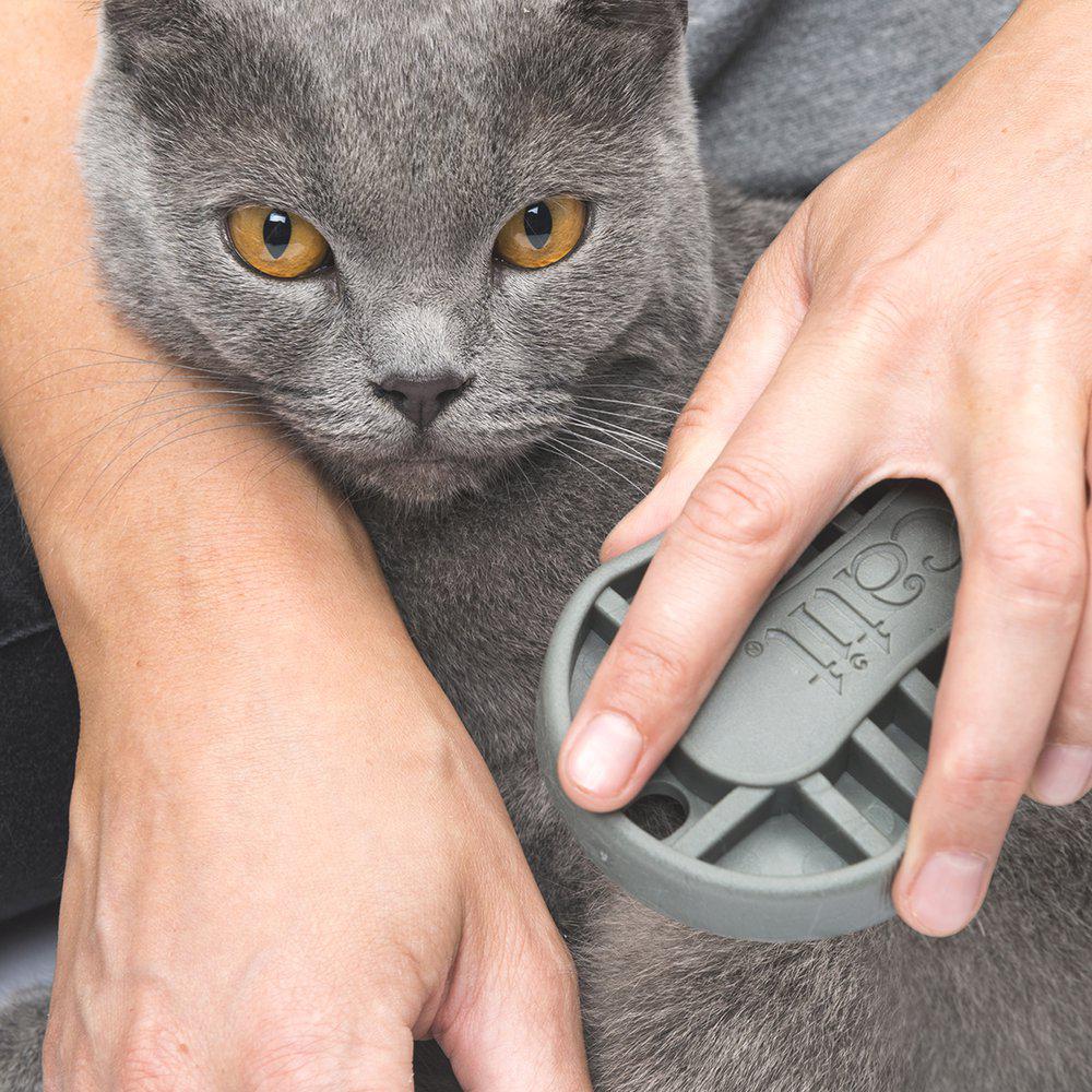 Catit Grooming Kit