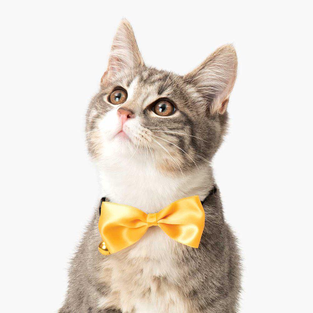 Catit Cat Collar with Bow