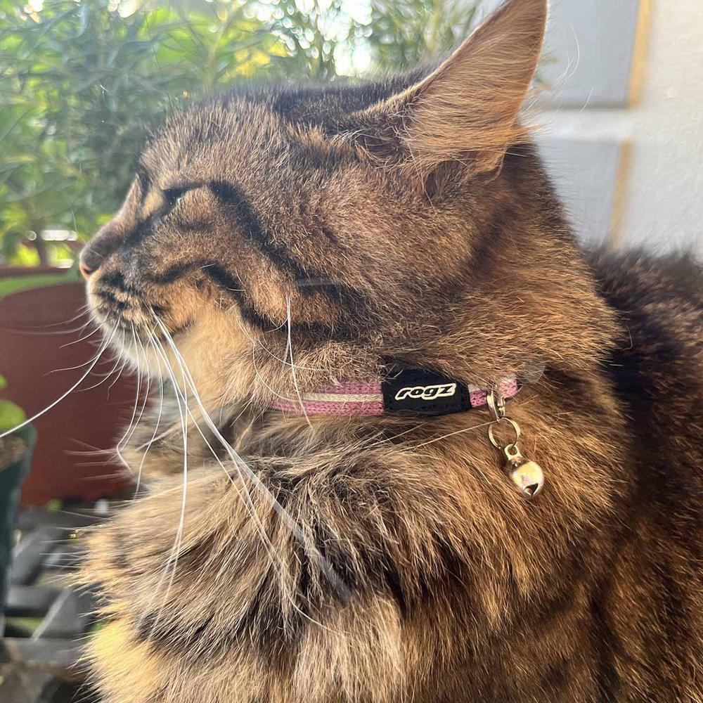 Rogz Alleycat Cat Collar with Bell