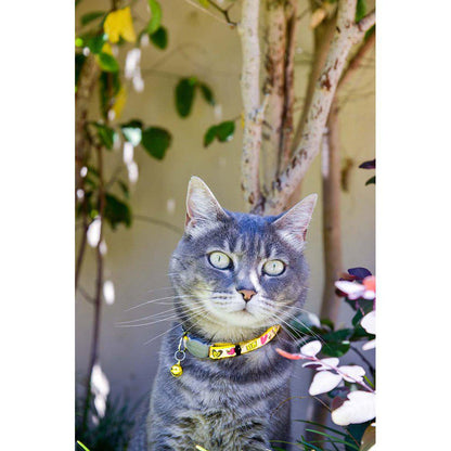 Rogz Reflectocat Cat Collar with Bell