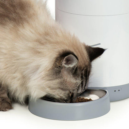 Pixi Smart Automatic Feeder