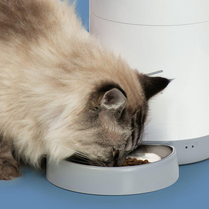 Pixi Smart Automatic Feeder