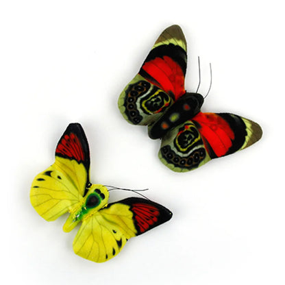 Natural Instincts Butterfly 2-pack