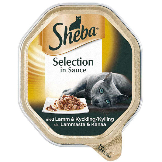 Sheba Selection
