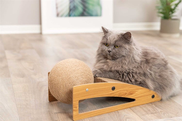 Cat Scratcher Ramp with Ball