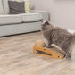 Cat Scratcher Ramp with Ball