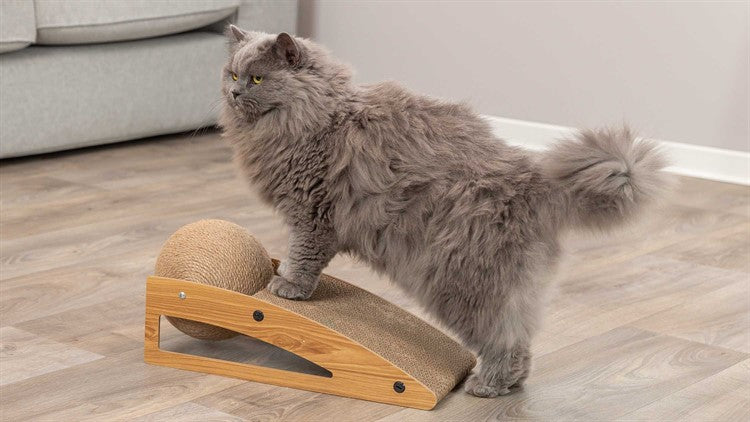 Cat Scratcher Ramp with Ball