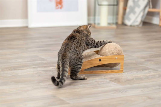 Cat Scratcher Ramp with Ball