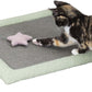 Cat Scratch Carpet