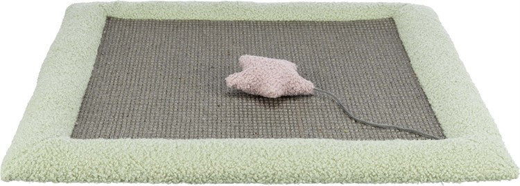 Cat Scratch Carpet