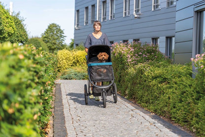 Collapsible Pet Stroller Buggy