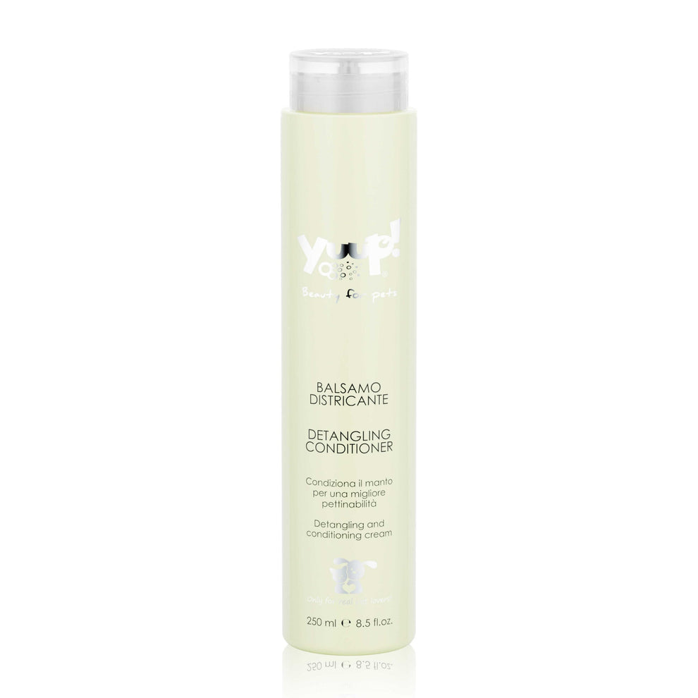 Detangling Conditioner