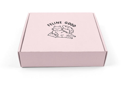 Cat Toys & Treats Surprise Box