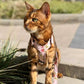 Cat Harness