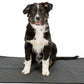 Washable Training Pad for Puppies