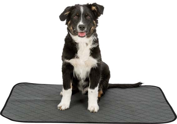 Washable Training Pad for Puppies