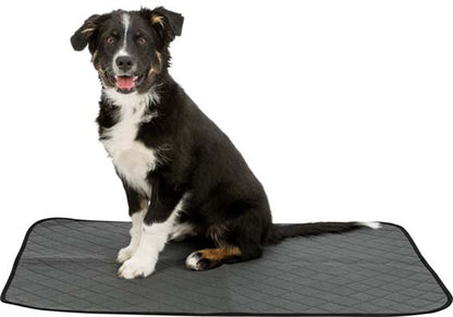 Washable Training Pad for Puppies