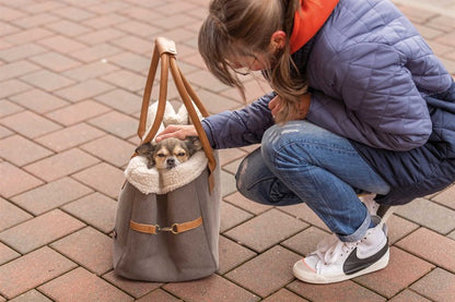 Pet Carrier Rachel