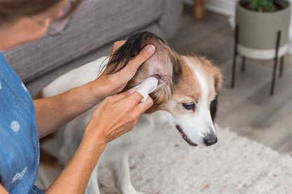 Ear Cleaning Wipes